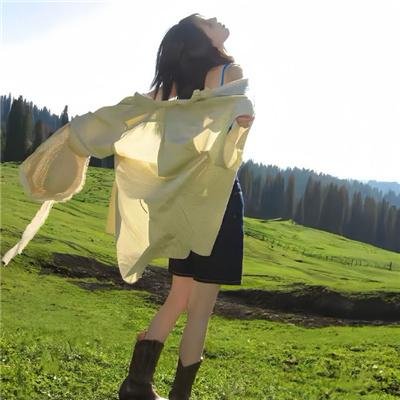 八个女人一台戏